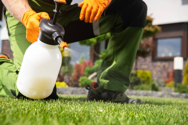 Best Wasp Removal Services  in Biglerville, PA