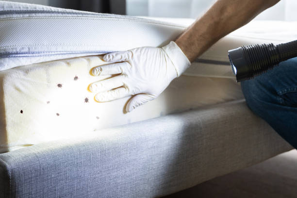 Best Affordable Pest Control Services  in Biglerville, PA
