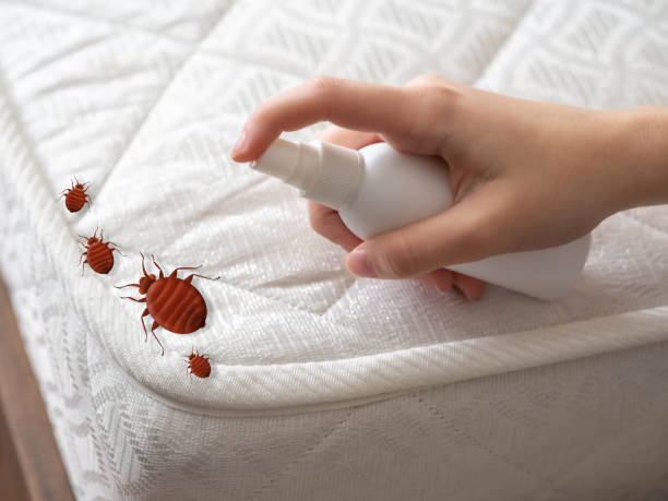 Best Bed Bug Extermination  in Biglerville, PA